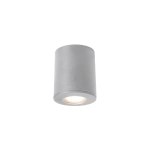 SPOT SOVRAPPOSTO FARETTO GU10 4000K IP55 GRIGIO FUMAGALLI