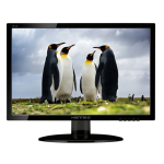 HANNSPREE HANNSG MONITOR 18,5 LED 16:9 1366X768 5MS 200 CDM, VGA