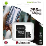 Kingston Micro SD 256GB Classe 10 SDCS2/256GB + Adattatore SD