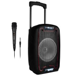 NGS Speaker Wild Samba Portatile BT +Mic Ricaricabile 30W