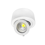 FARETTO LED ESTERNO 12W COB DOWNLIGHT ROTONDO REGOLABILE BIANCO FREDDO 6000K